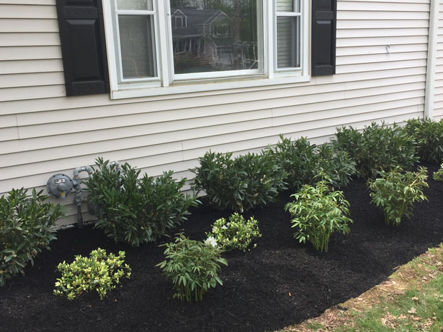 landscaping-in-nj